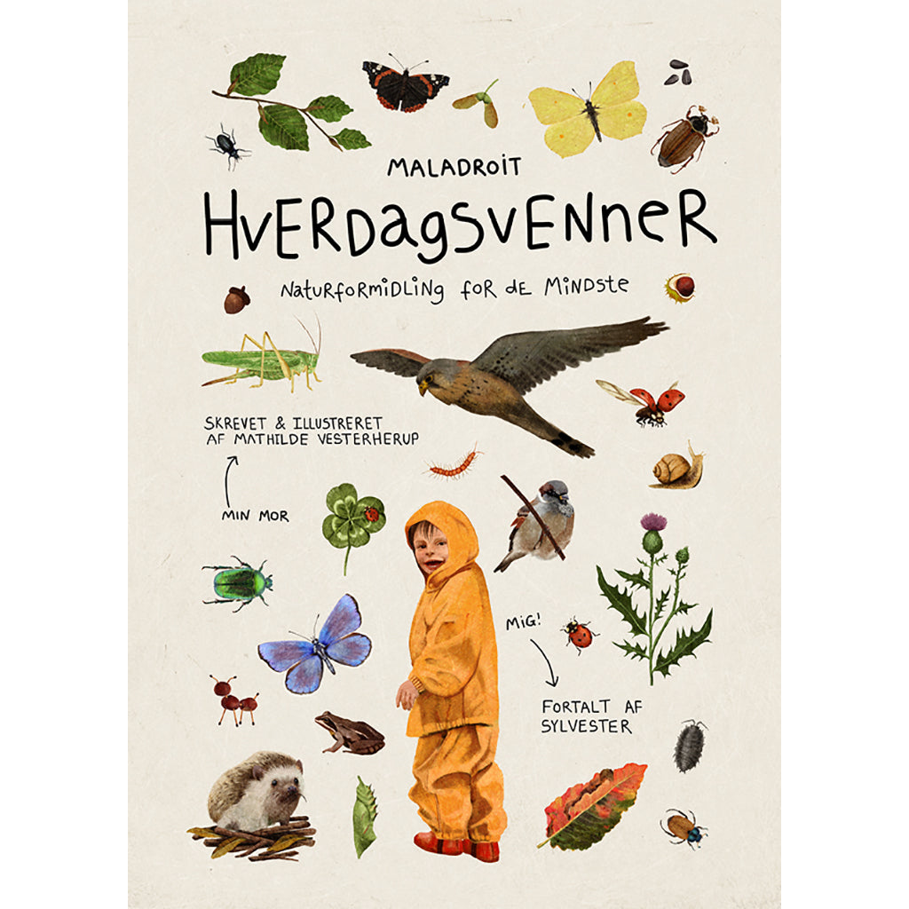 Hverdagsvenner - Naturformidling for de mindste, bog om dyr og insekter i skoven