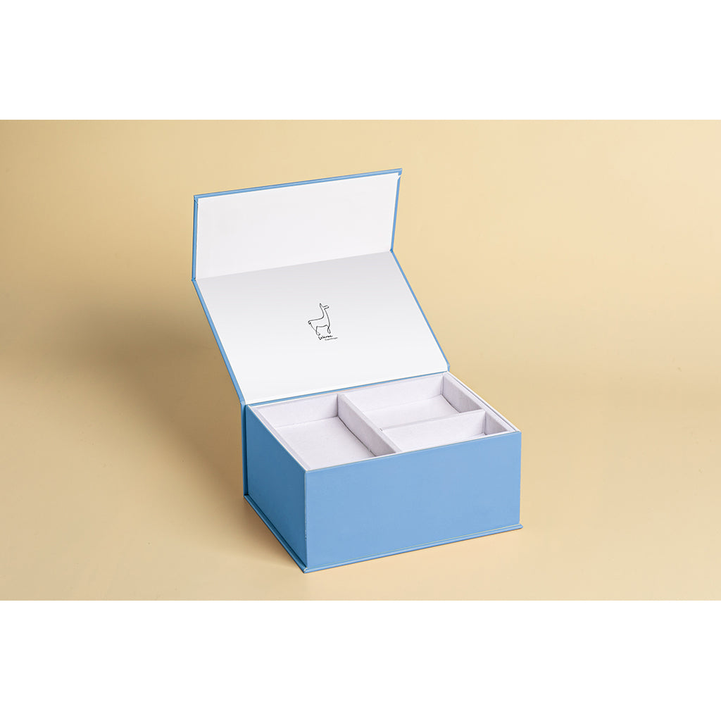 Lalarma kamera, Blue/Blue