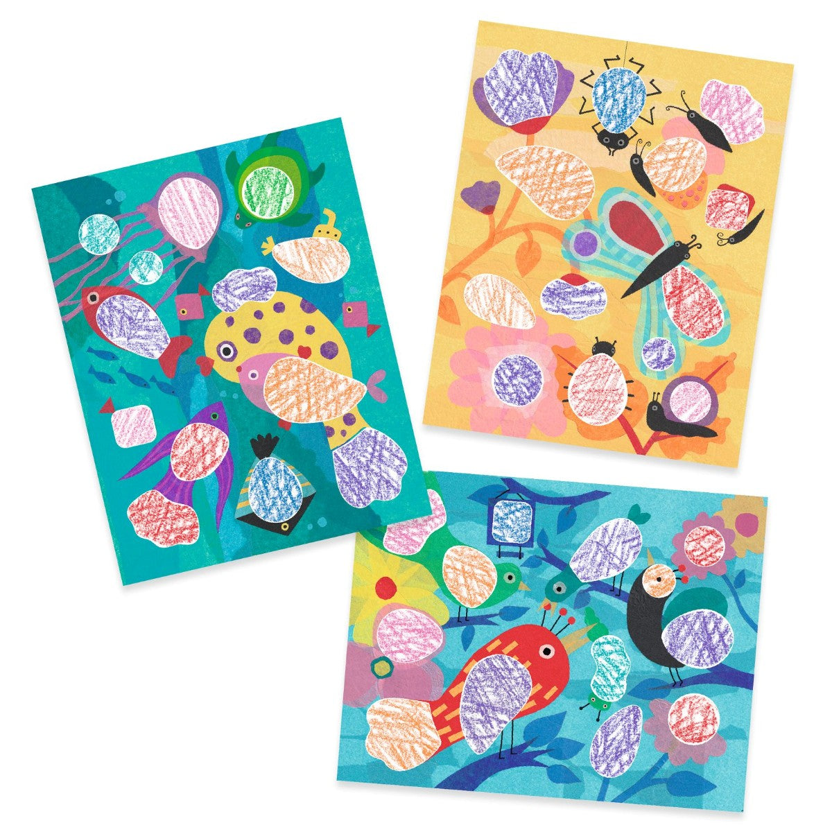 Djeco Farvelæg, Fugle &amp; Co. DJ08993