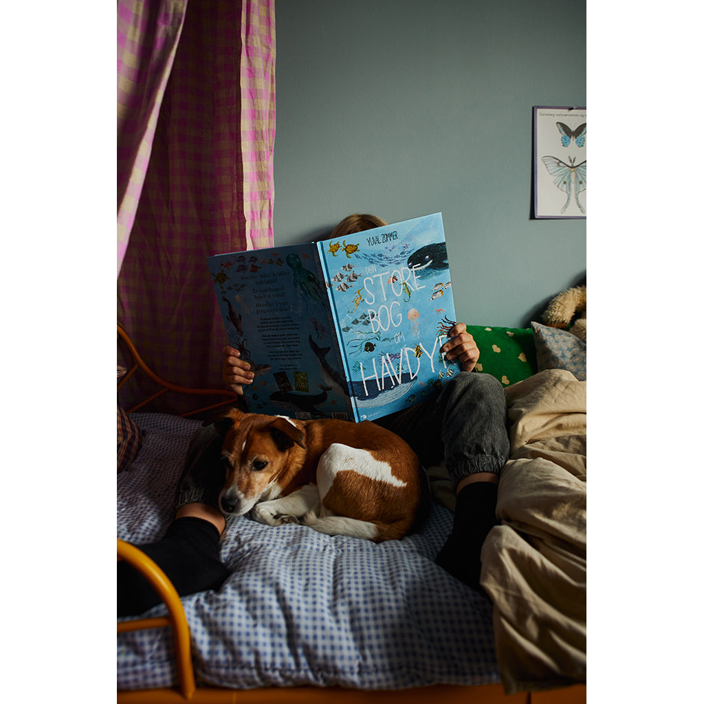 Forlaget Mammut, Den store bog om havdyr