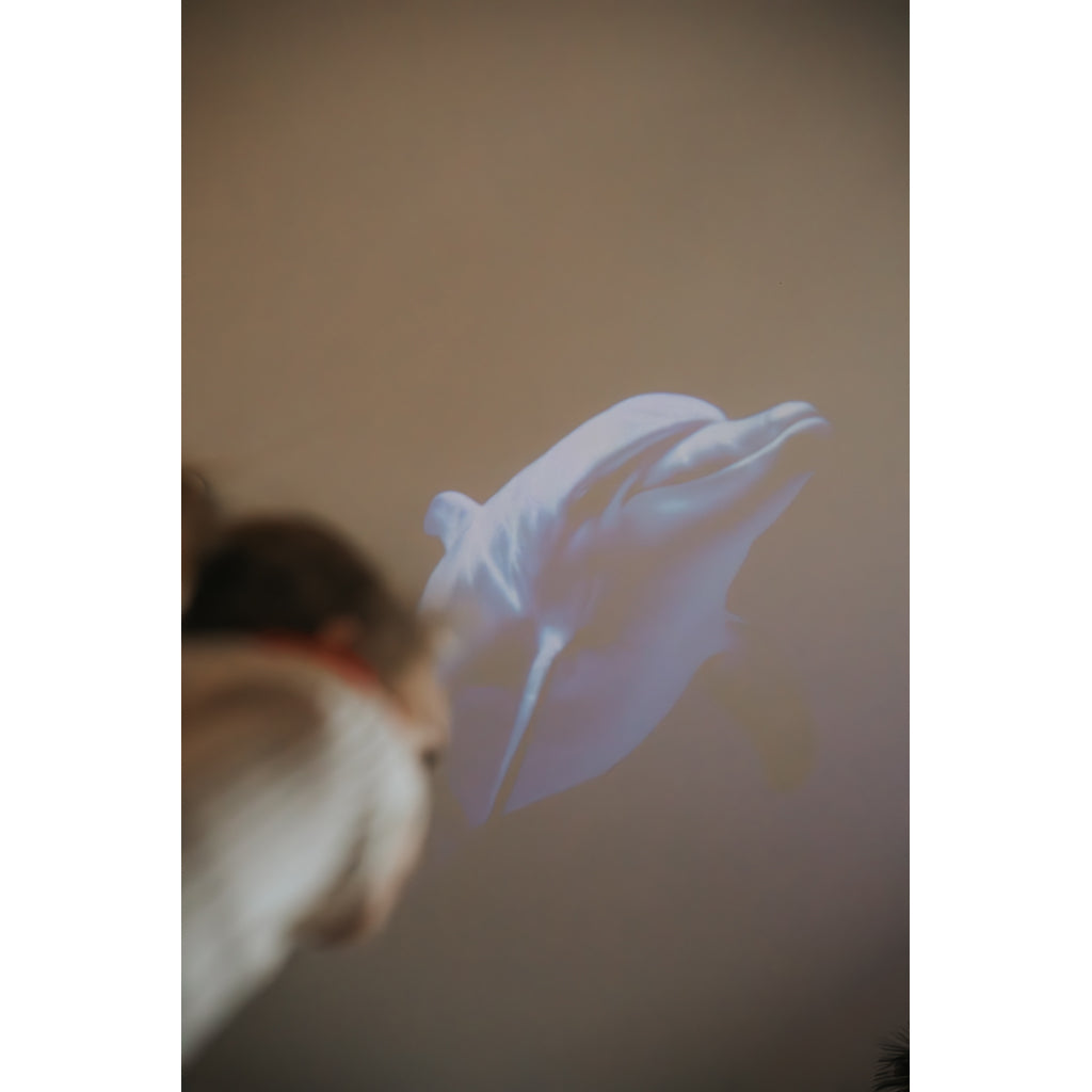 Kidystar, Roterende billedprojektor - Ocean/ hav-tema