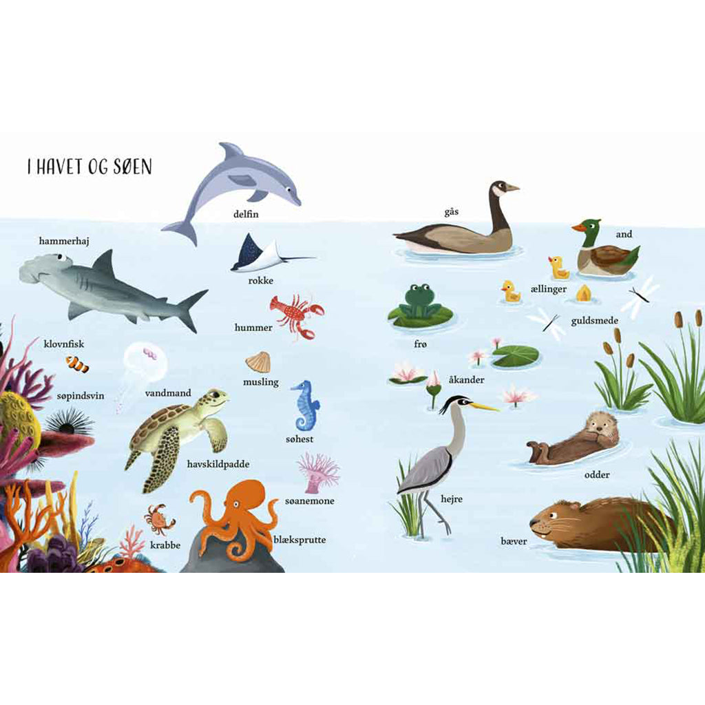 Forlaget Bolden, Jeg ser på: Naturen med min store billedordbog