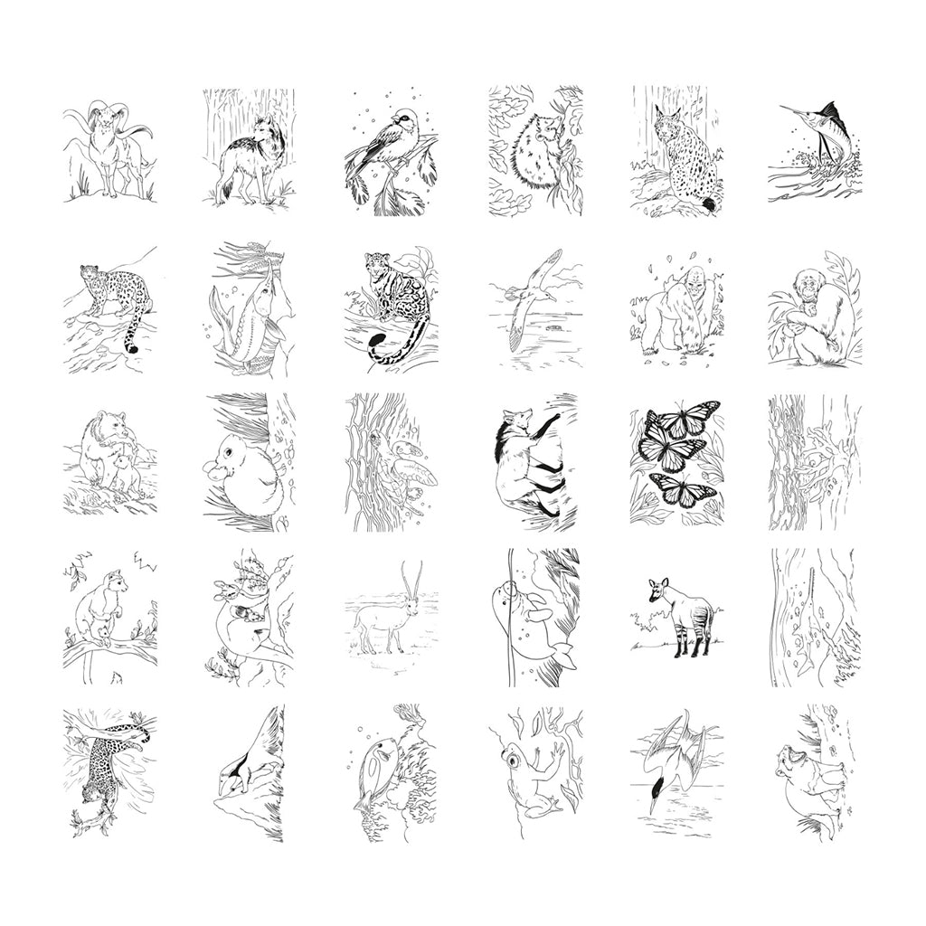 Kidywolf Kidydraw, tegnetavle m lys og skabeloner - Animals