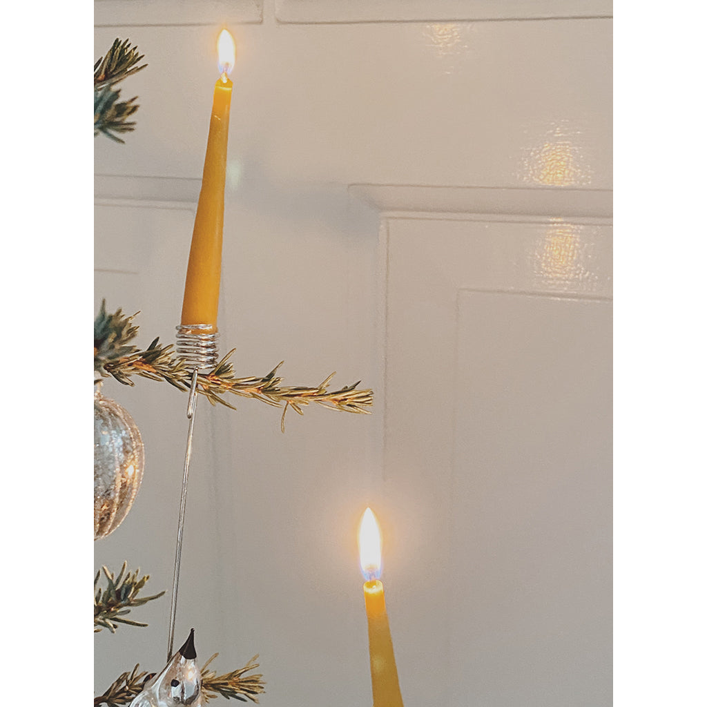 Konges Sløjd lys til fødselsdagstog, Nature