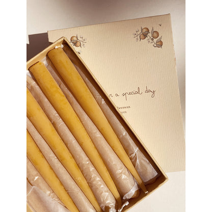 Konges Sløjd lys til fødselsdagstog, Nature