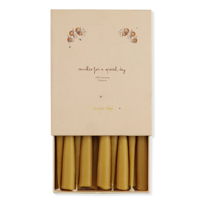 Konges Sløjd lys til fødselsdagstog, Nature