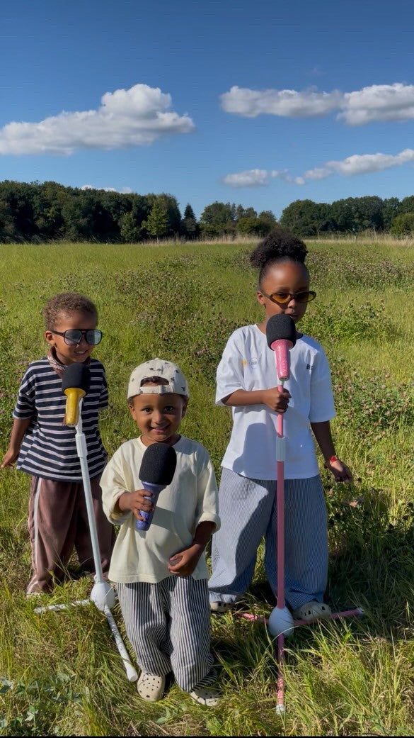 Lalarma floor stand, Mikrofon stativ - Rosa