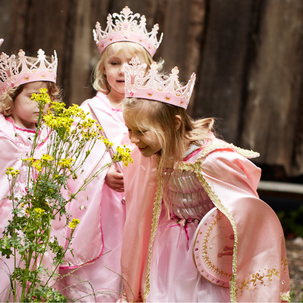 Liontouch dronningekappe, Queen Rosa Kappe