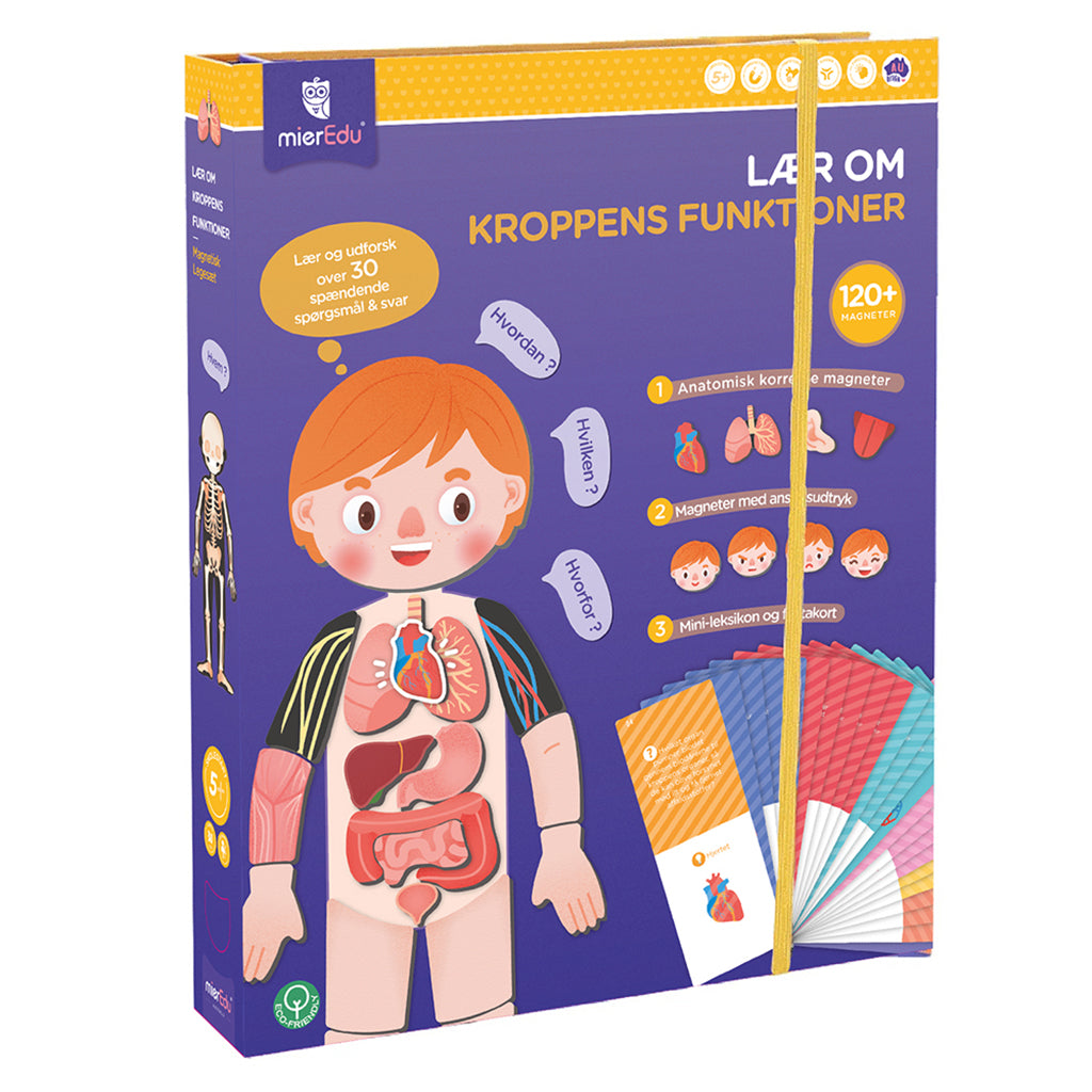mierEdu, Magnetisk legesæt - Lær om kroppens funktioner