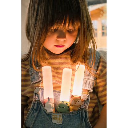 The ZooFamily, Zoo light, Lommelygte - Fox