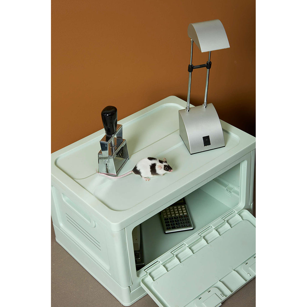 Studio About, Box medium - Mint