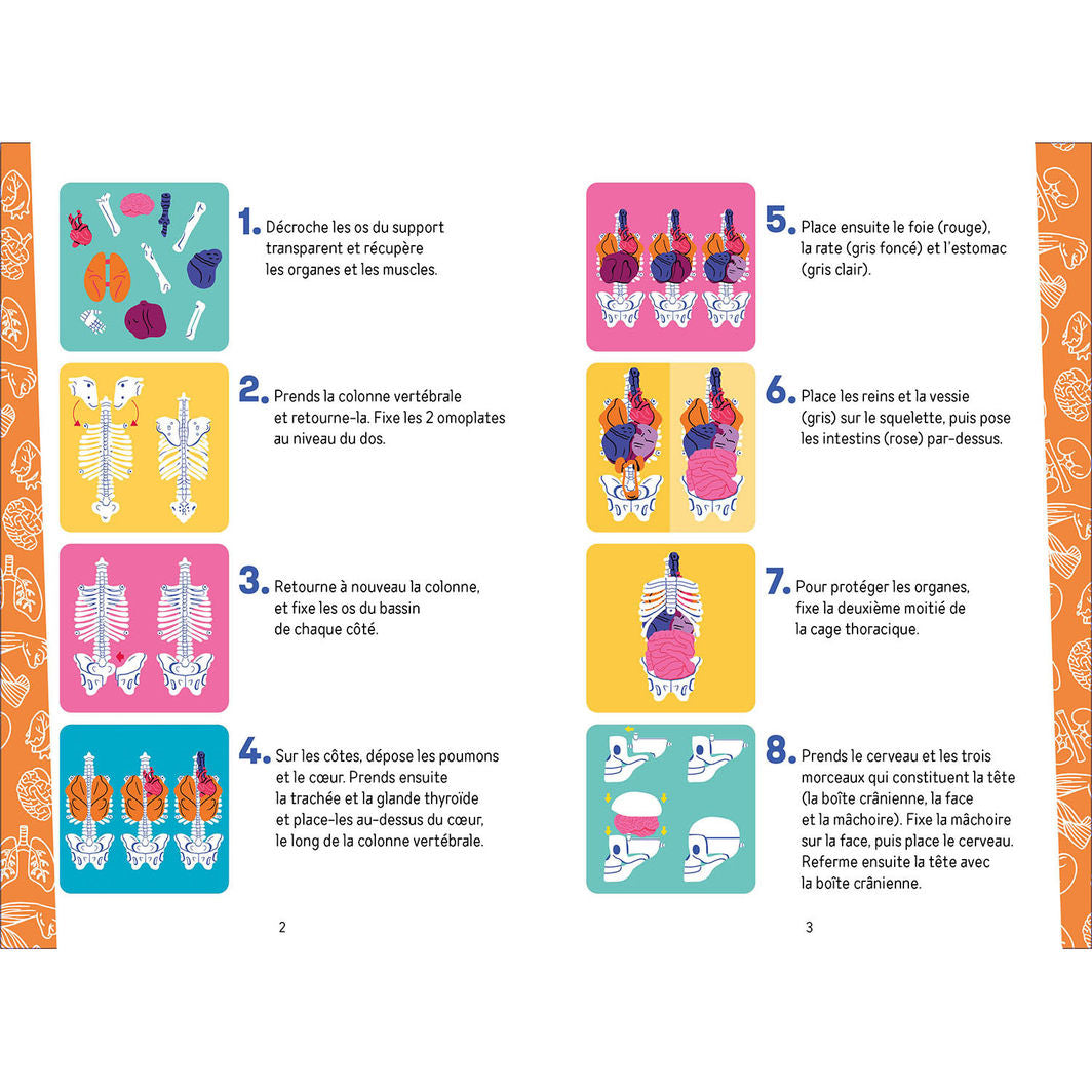 Auzou Aktivitetsæske, På opdagelse i kroppen