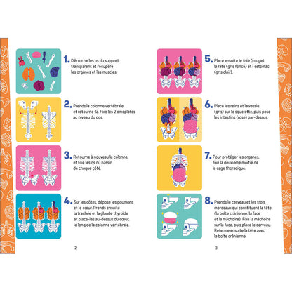 Auzou Aktivitetsæske, På opdagelse i kroppen