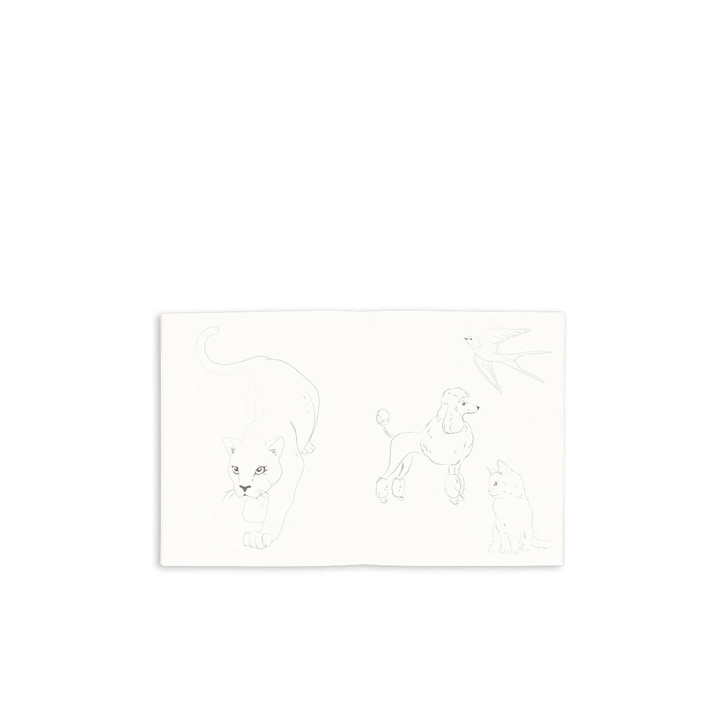 Konges Sløjd Malebog og farver, Green Tea check