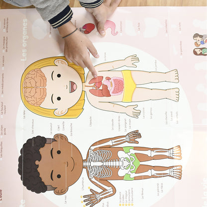 Poppik klistremosaik i papir, Læringsplakat m. 48 klistermærker - Kroppen