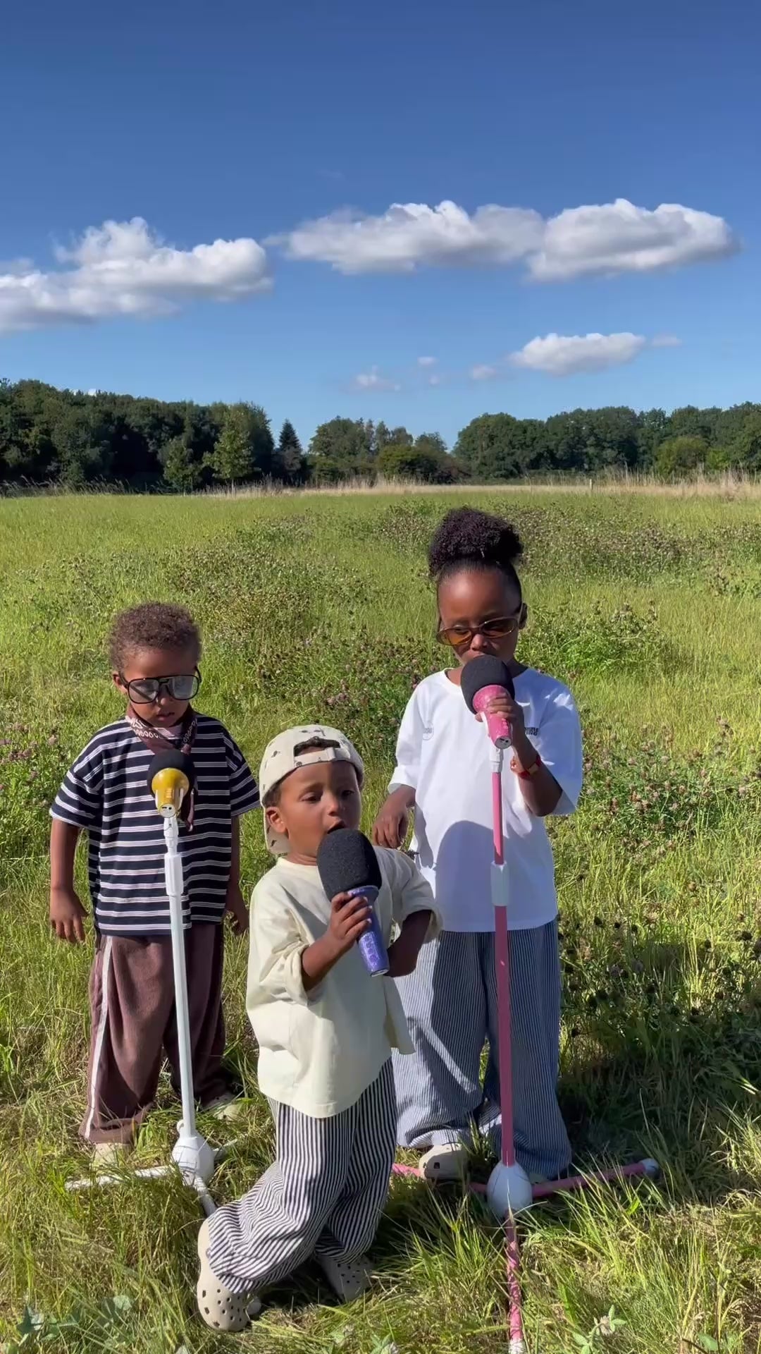 Lalarma Glitter Grove mikrofon