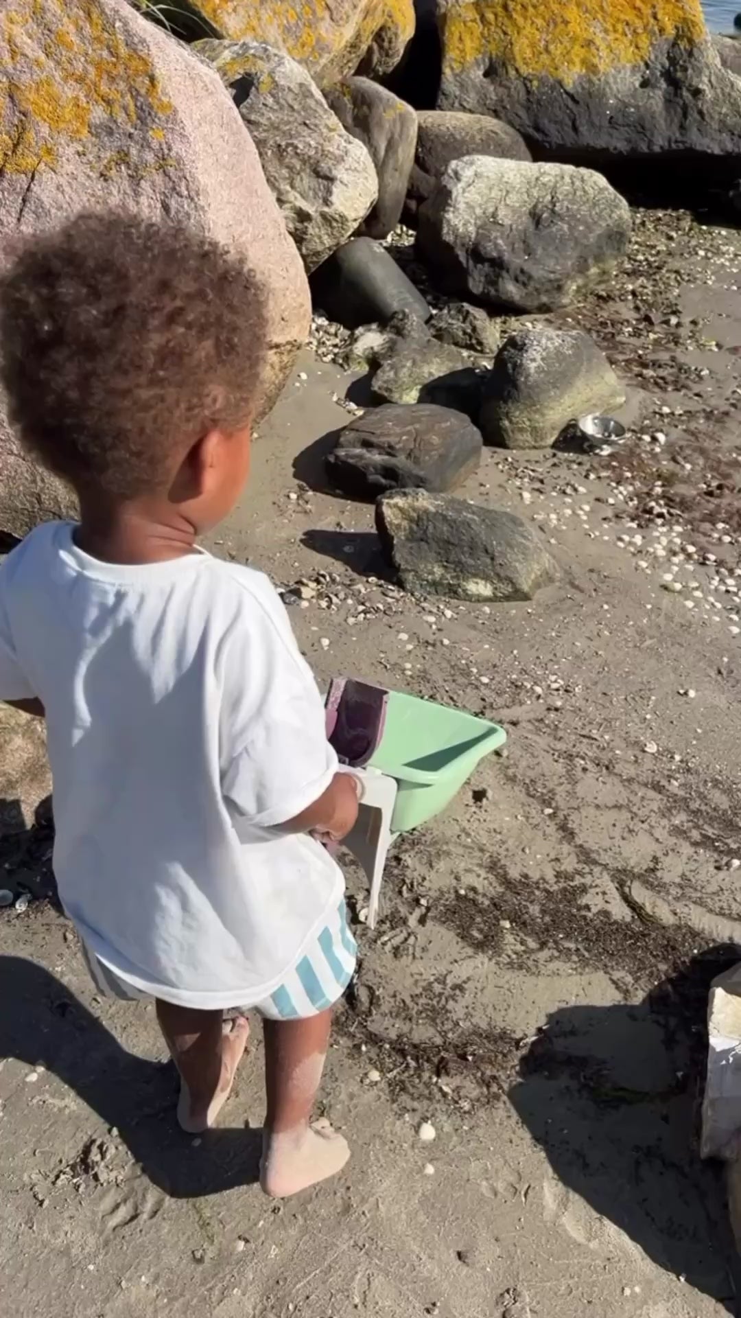 Dantoy Green Garden Trillebørsæt i net, Svanemærket