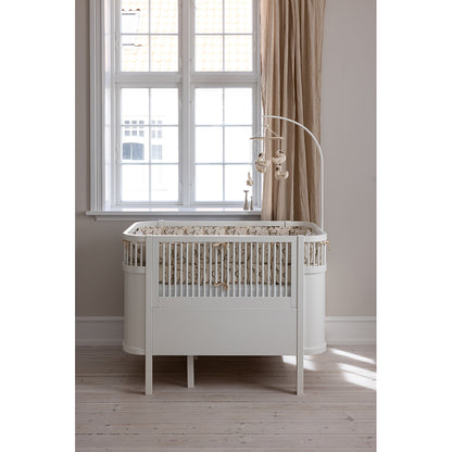 Sebra sengerand, kapok - Powder blossom