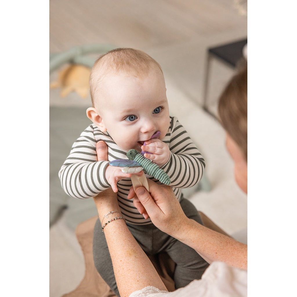 Sebra aktivitetslegetøj, 3 stk. blomst, guldsmed, svane