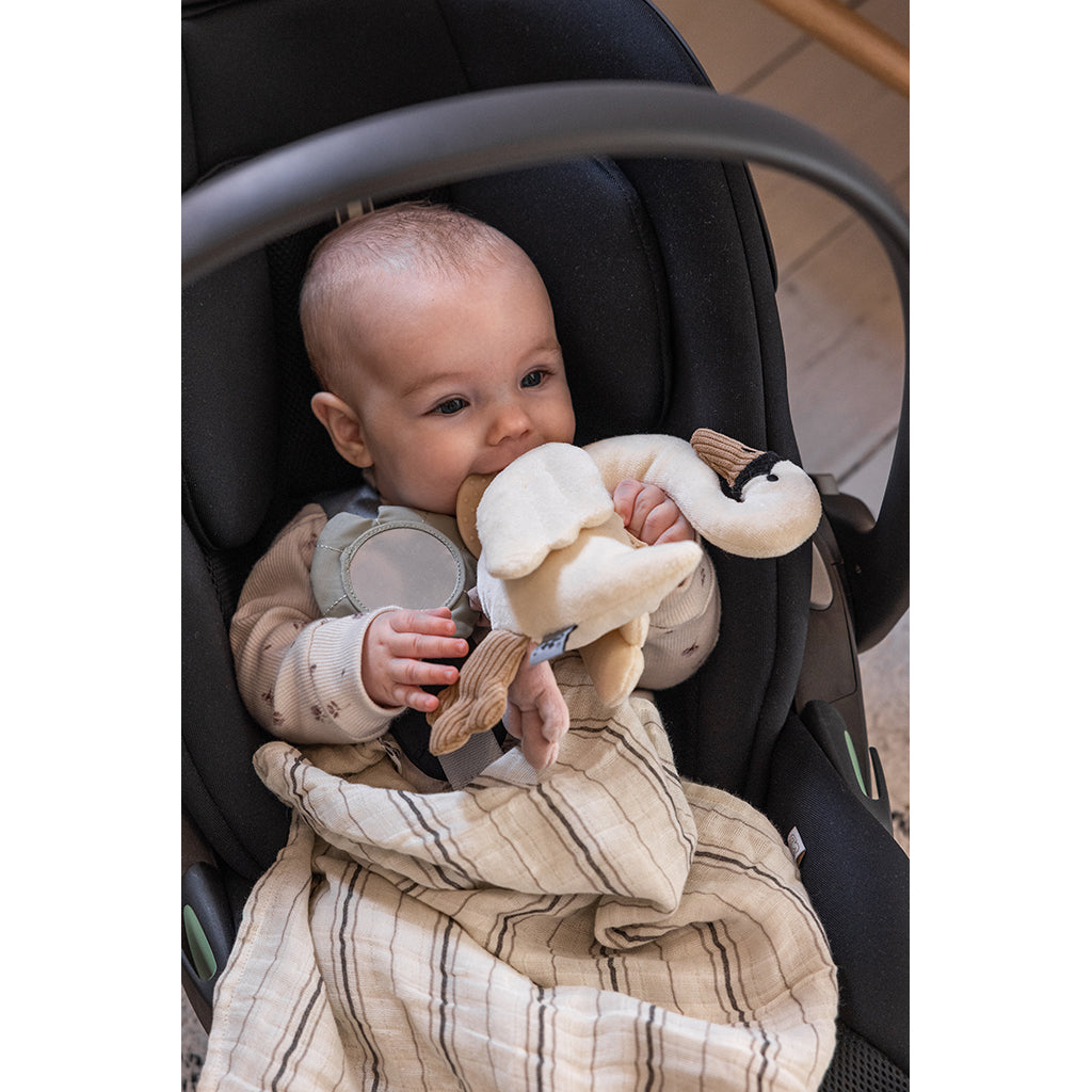 Sebra Aktivitetslegetøj, Svane