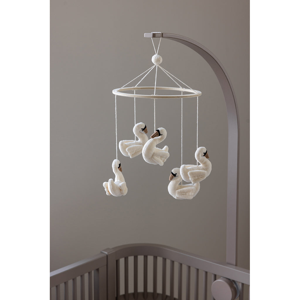 Sebra uro i filt, Svaner