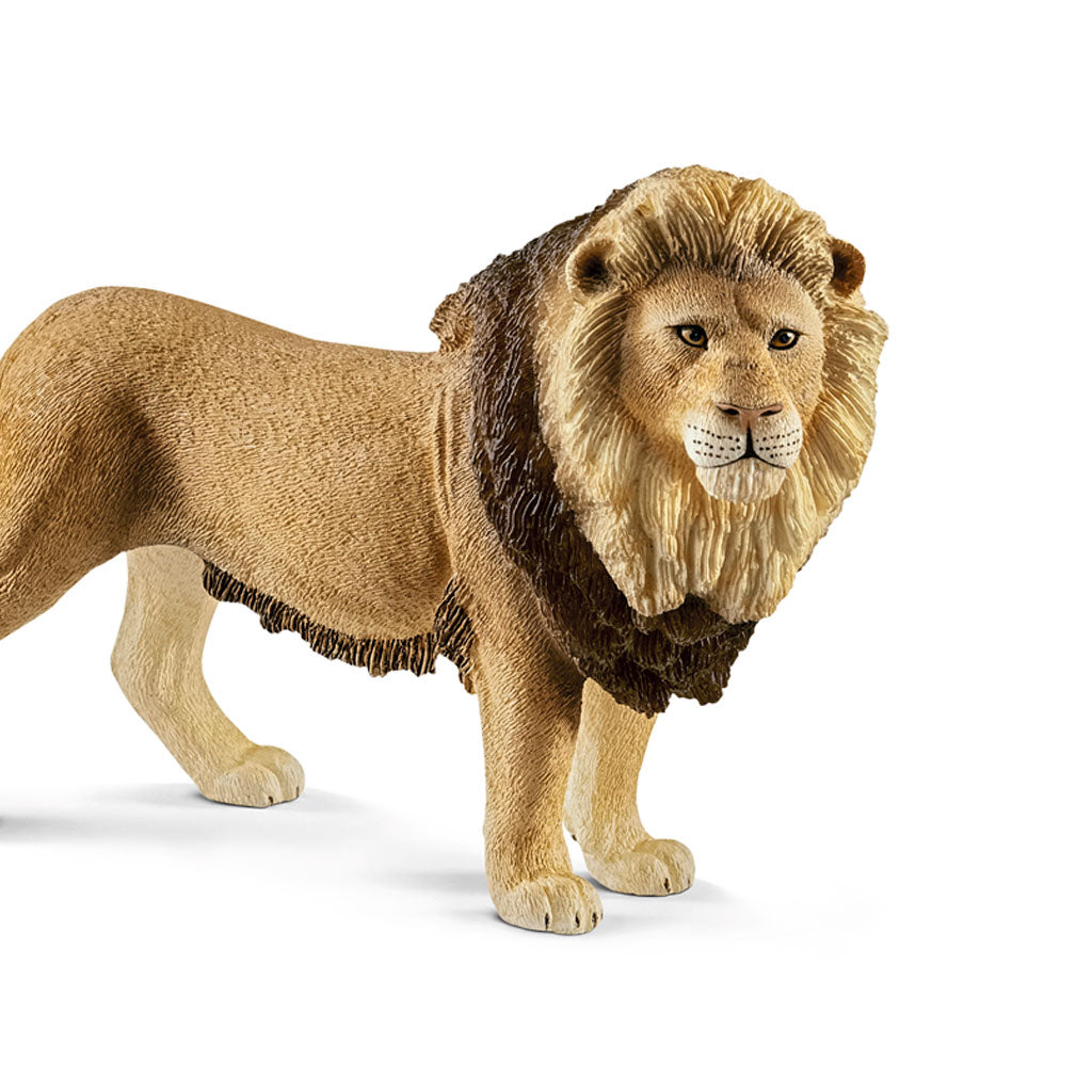 Schleich løve, han - vist tæt på