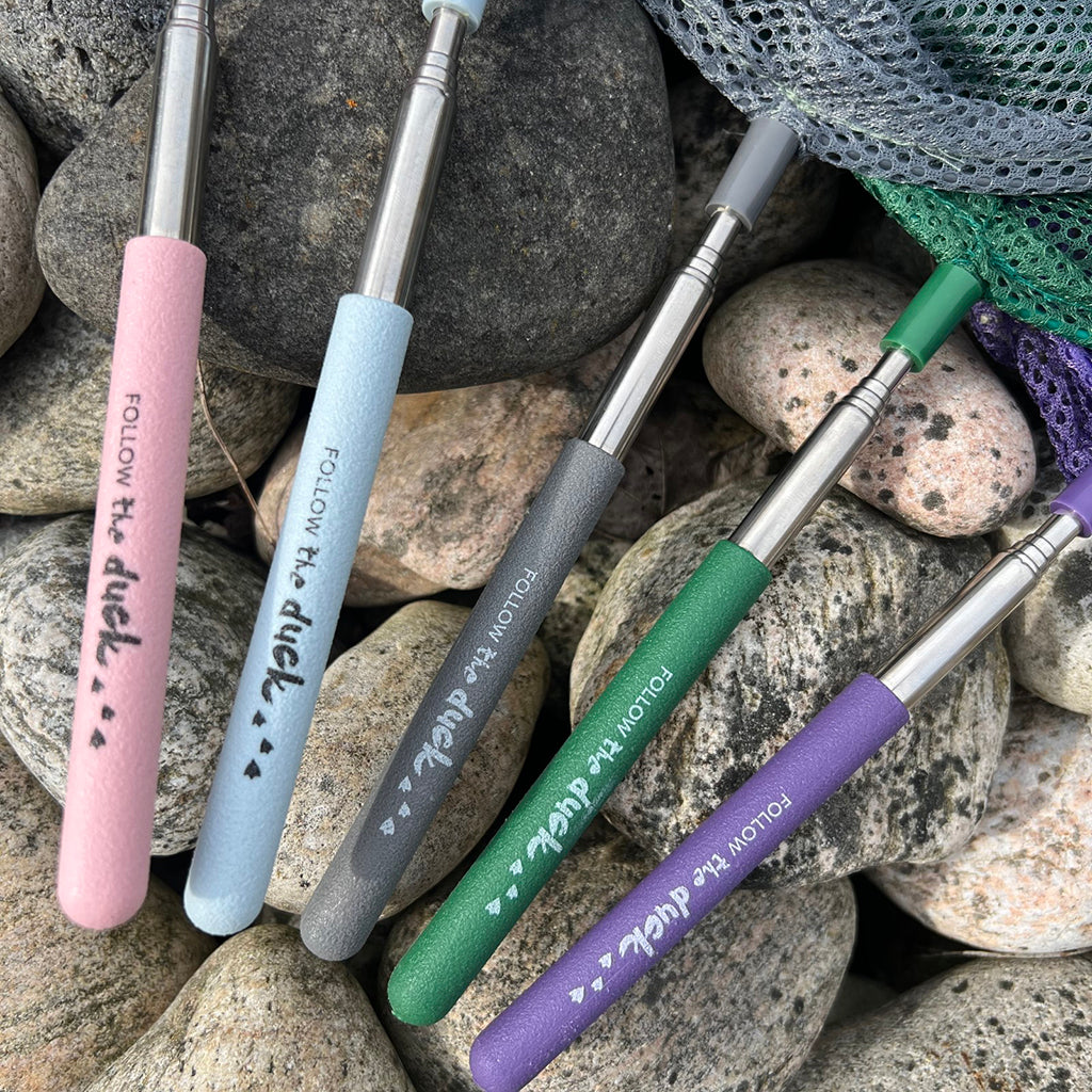 Follow the duck, Teleskopfiskenet - Sart rosa