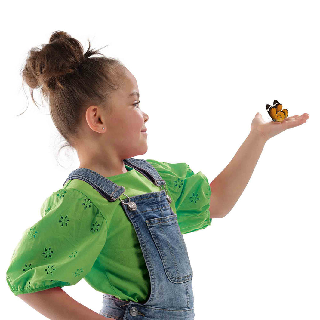 SES Creative  Insekthotell, Sommerfugle