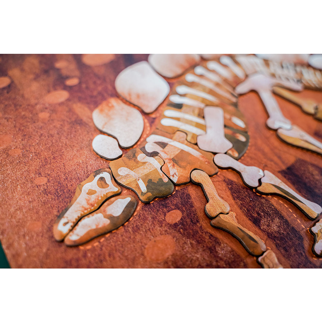 mierEdu, Magnetisk legetavle/puslespil - Stegosaurus