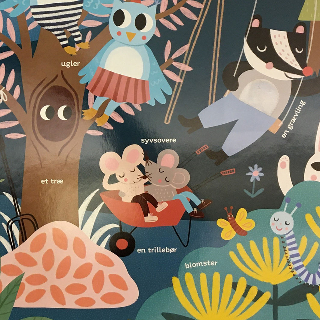 Forlaget Room2Play, Min meget store sansebog - En aften hos dyrene