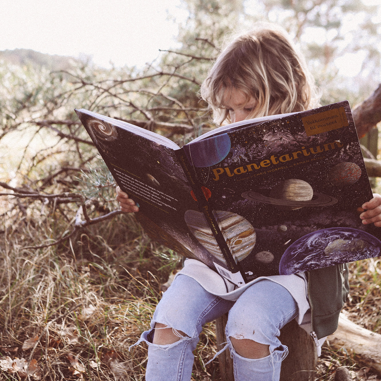 Forlaget Mammut, Planetarium