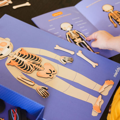 mierEdu, Magnetisk legesæt - Lær om kroppens funktioner