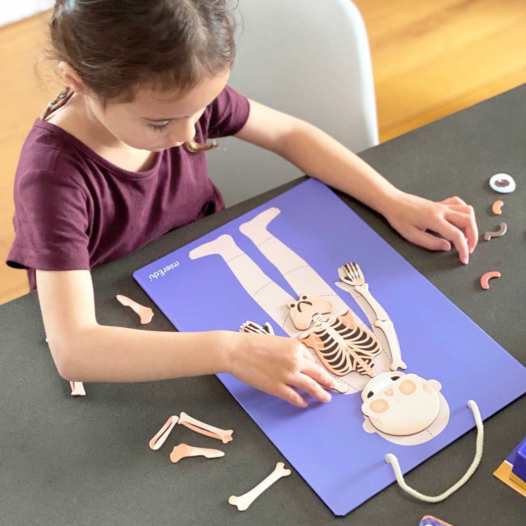 mierEdu, Magnetisk legesæt - Lær om kroppens funktioner