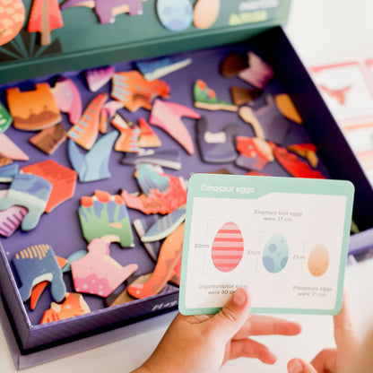 mierEdu, Magnetisk legesæt - Dinosaurer