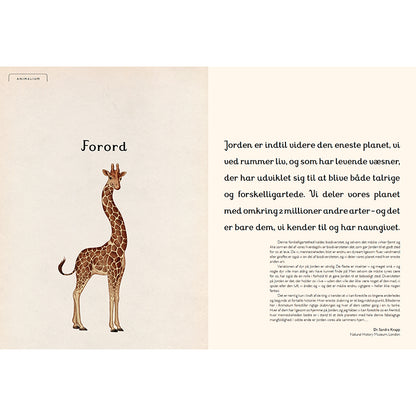 Forlaget Mammut, Animalium