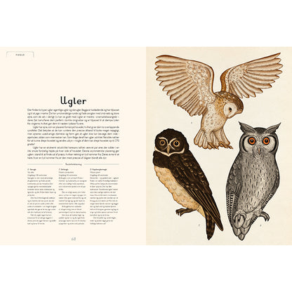 Forlaget Mammut, Animalium