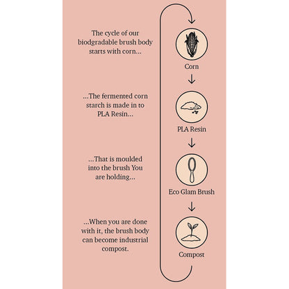 Fan Palm hårbørste, Eco Glam - Medium