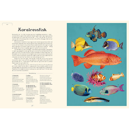 Forlaget Mammut, Oceanarium