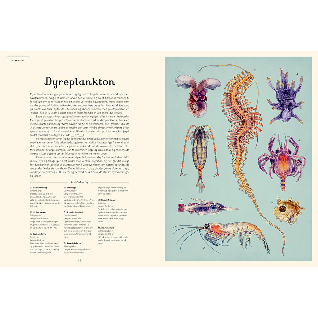 Forlaget Mammut, Oceanarium