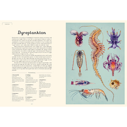 Forlaget Mammut, Oceanarium