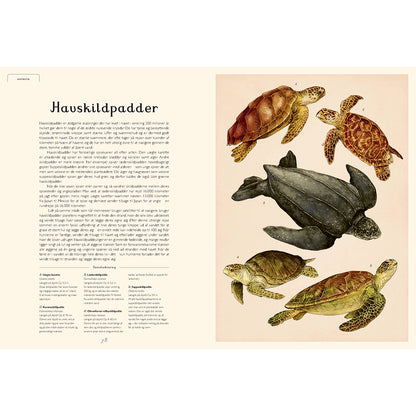 Forlaget Mammut, Oceanarium