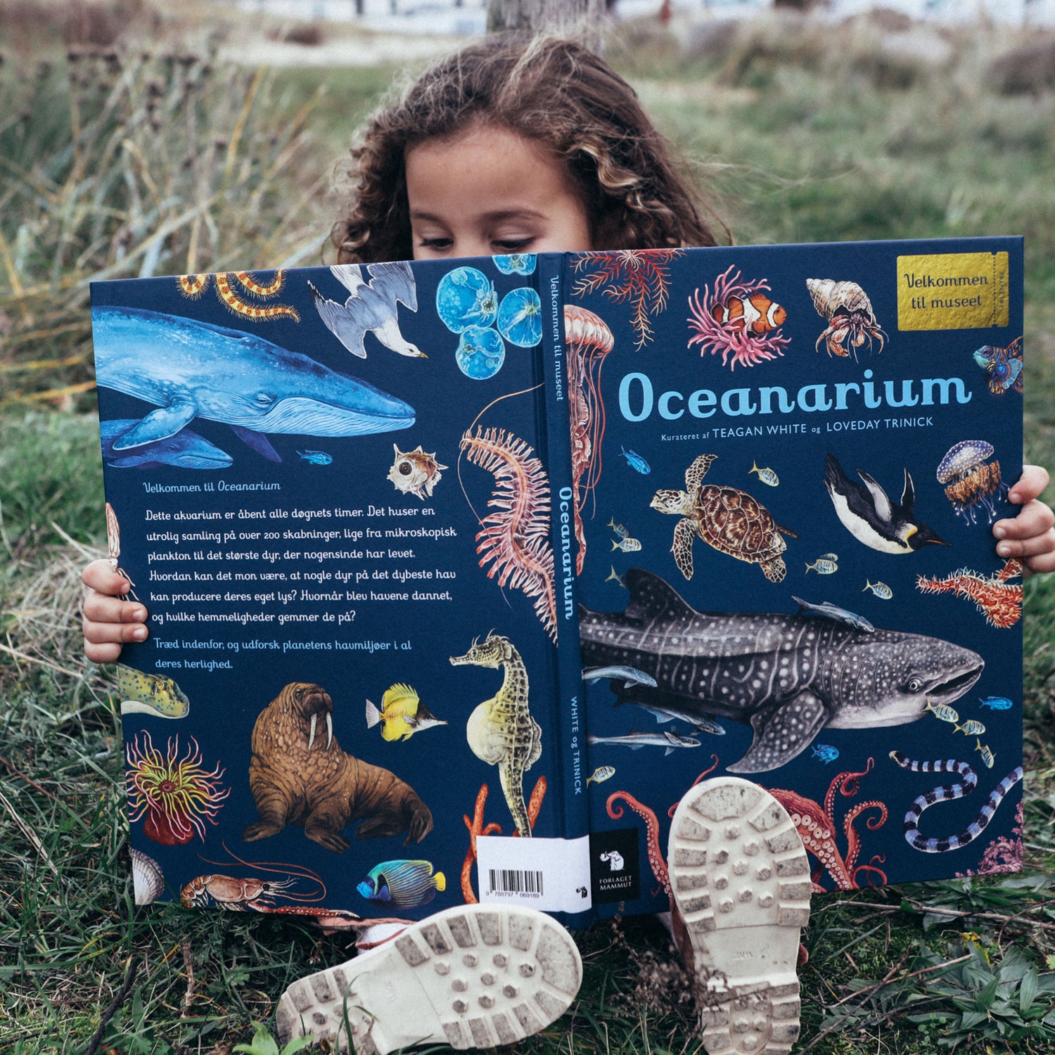 Forlaget Mammut, Oceanarium