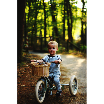 Trybike cykelkurv i flet