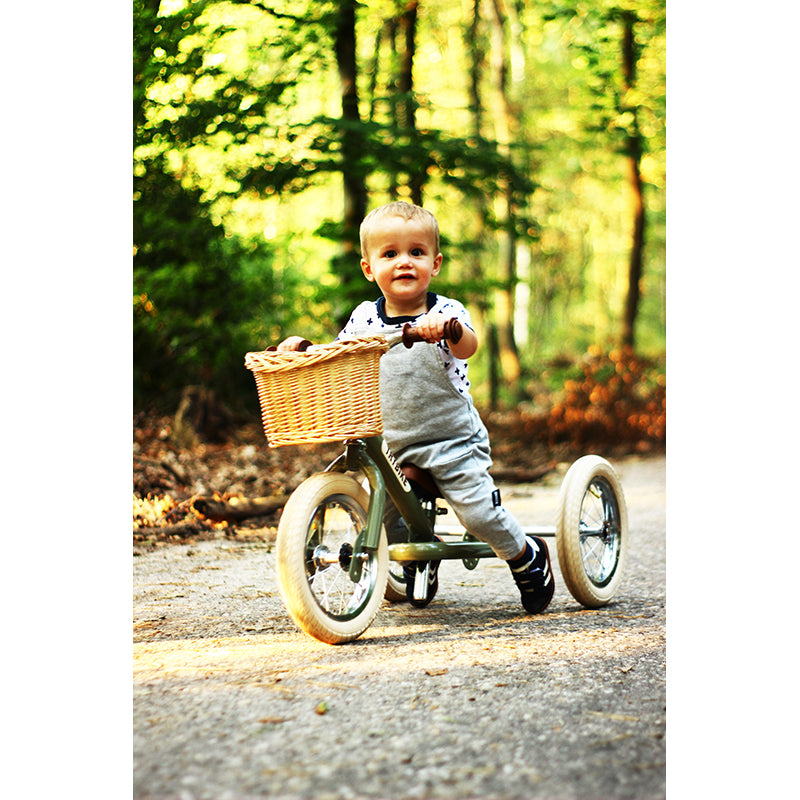 Trybike cykelkurv i flet