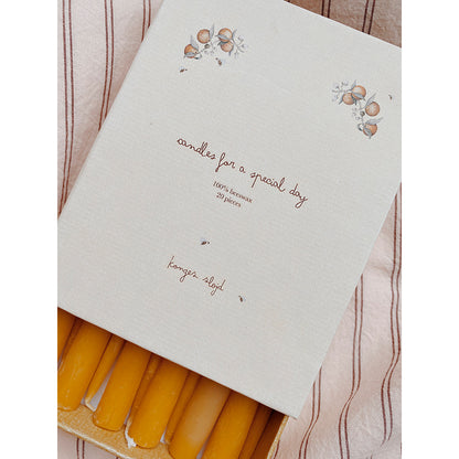 Konges Sløjd lys til fødselsdagstog, Nature