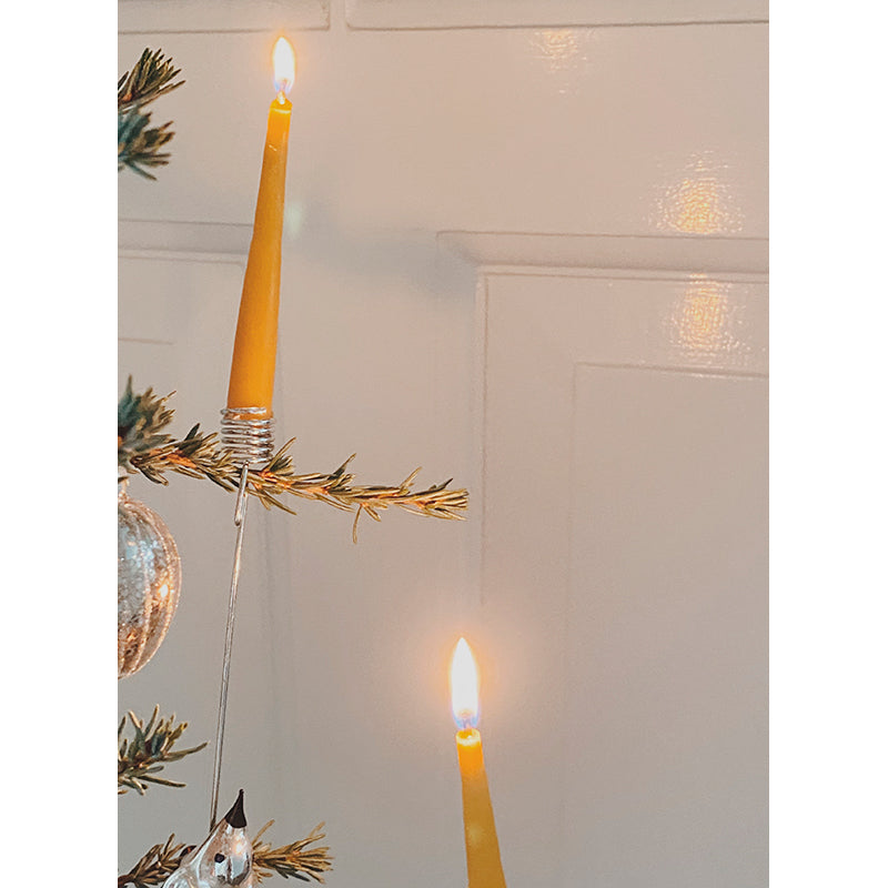 Konges Sløjd lys til fødselsdagstog, Nature