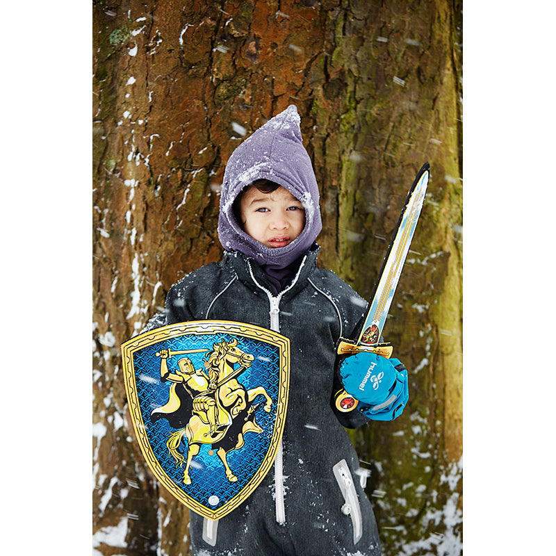 Riddersæt m. sværd og skjold