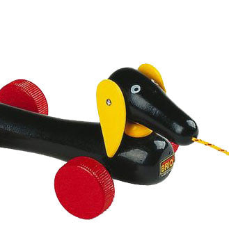 Trækhund Dachsie