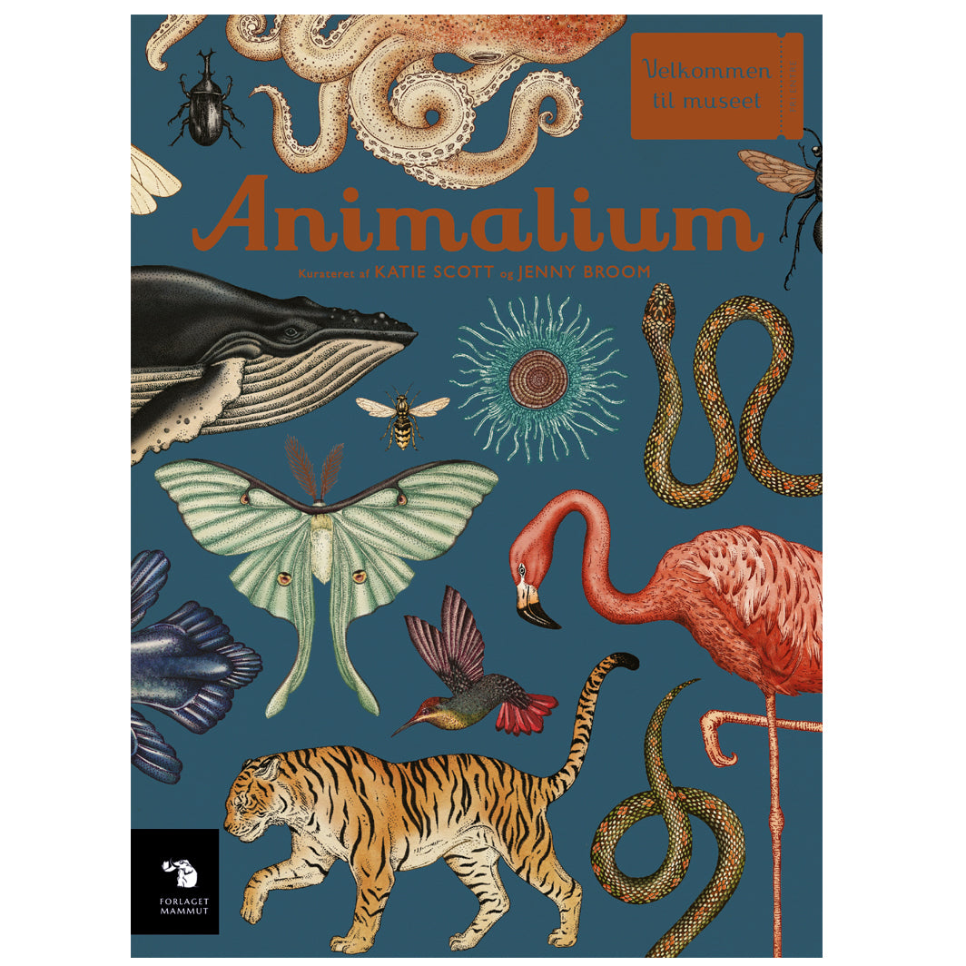 Forlaget Mammut, Animalium. Velkommen til museet-serien. Børnebog