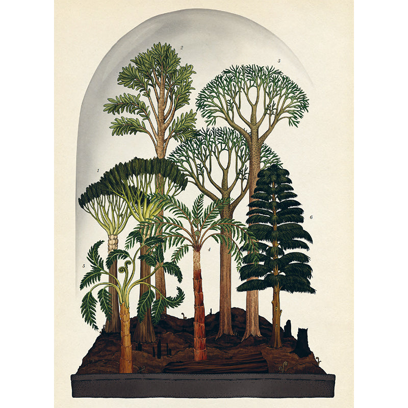 Forlaget Mammut, Botanicum